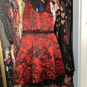 Princess Vera wang red dress